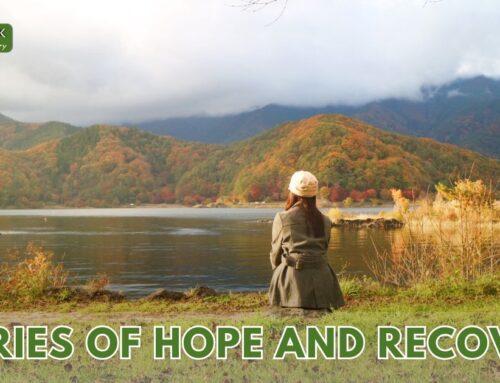 Stories of Hope and Recovery, Inspiring Journeys from Surviving to Thriving